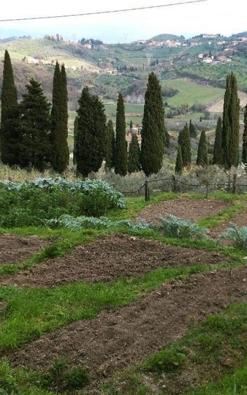 Vieni a scoprire La Vinsantaia di Capezzana enoteca con cucina immersa nelle colline toscane a Prato